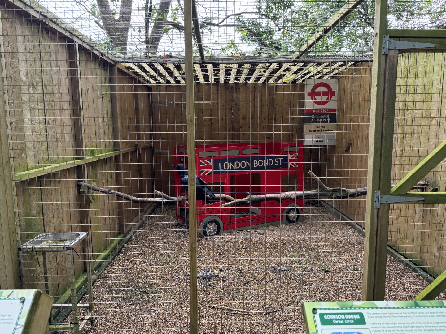 Common Raven Aviary at Bridlington Animal Park (July 2024)