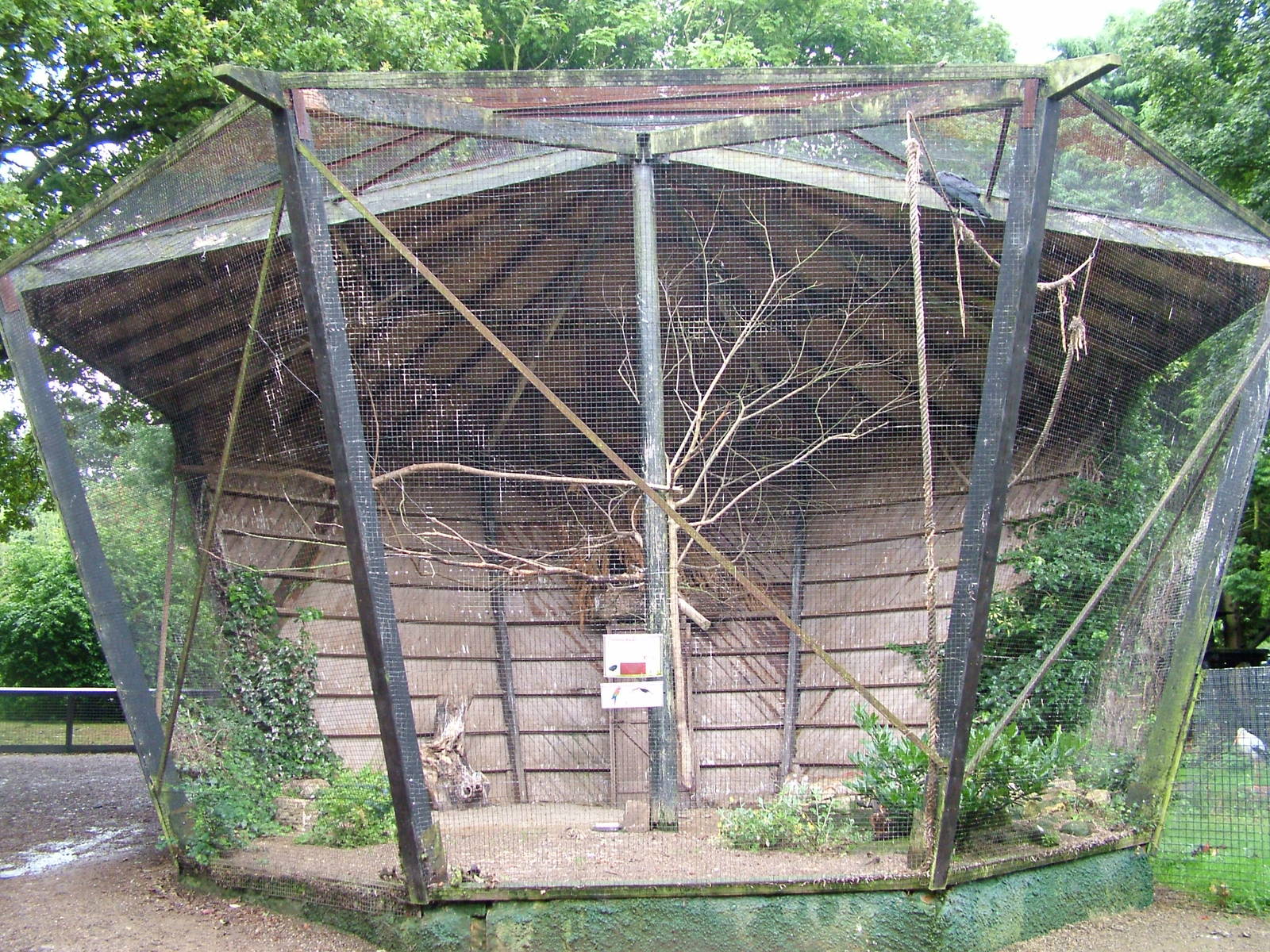 Common Raven Aviary at Lotherton Hall 01/08/09