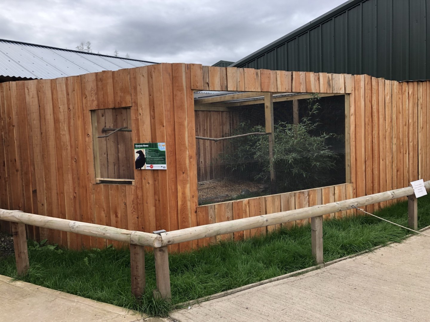 Common Raven Aviary at Northumberland Country Zoo (September 2021)
