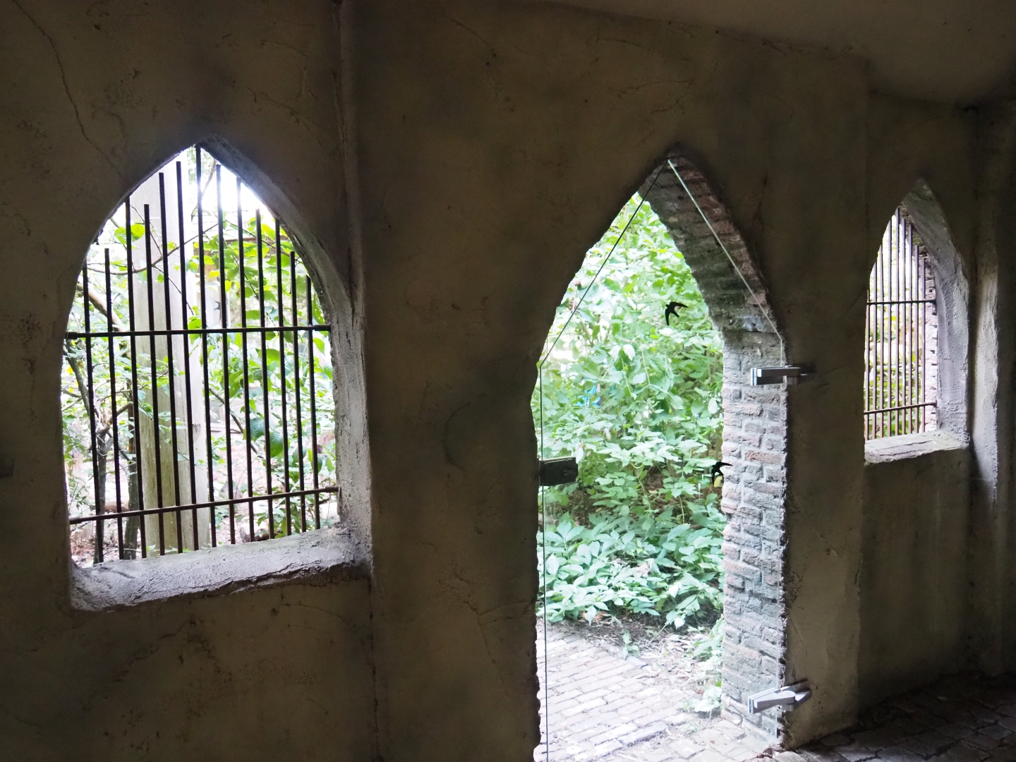 Common raven - Eurasian eagle-owl aviary viewing in the "castle" (Sep 2nd, 2018)