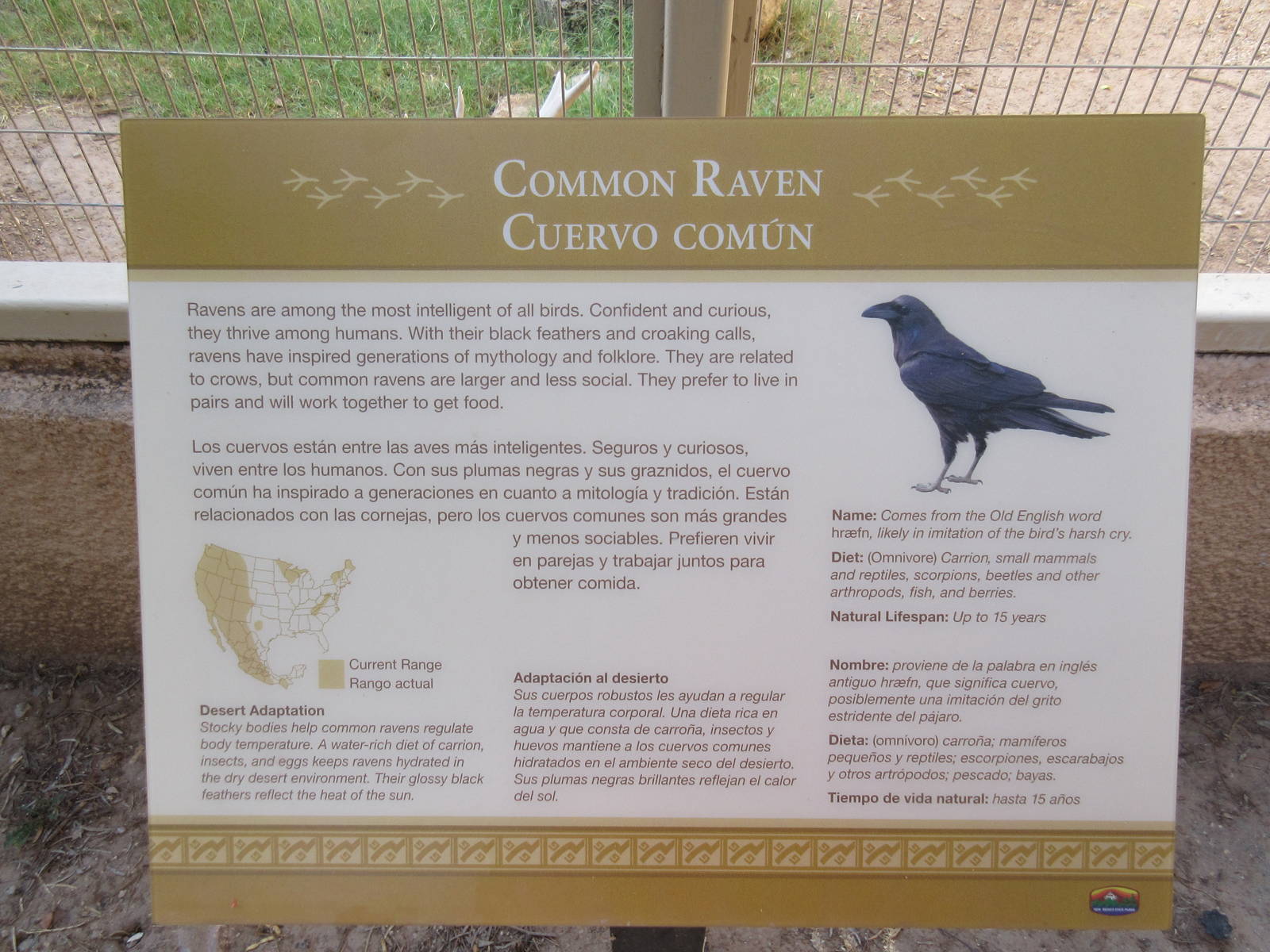 Common Raven - example of park sign
