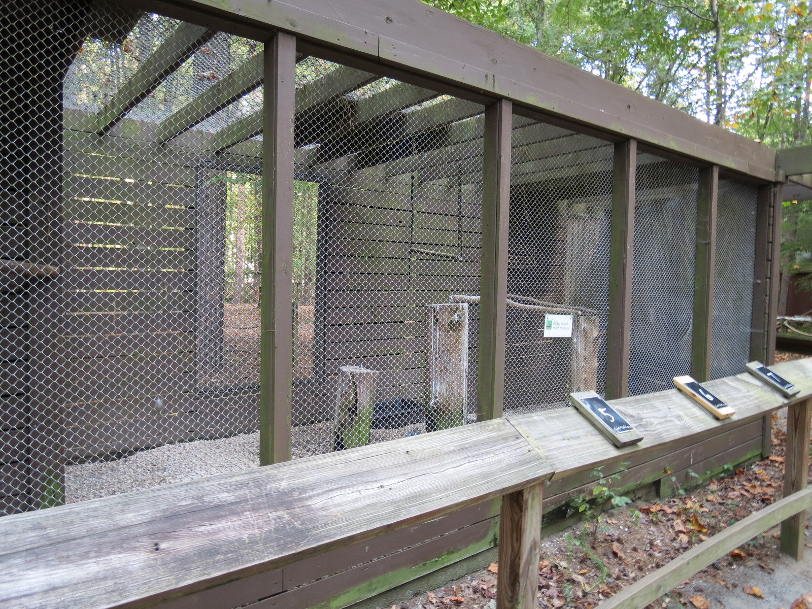 Common Raven Exhibit 1