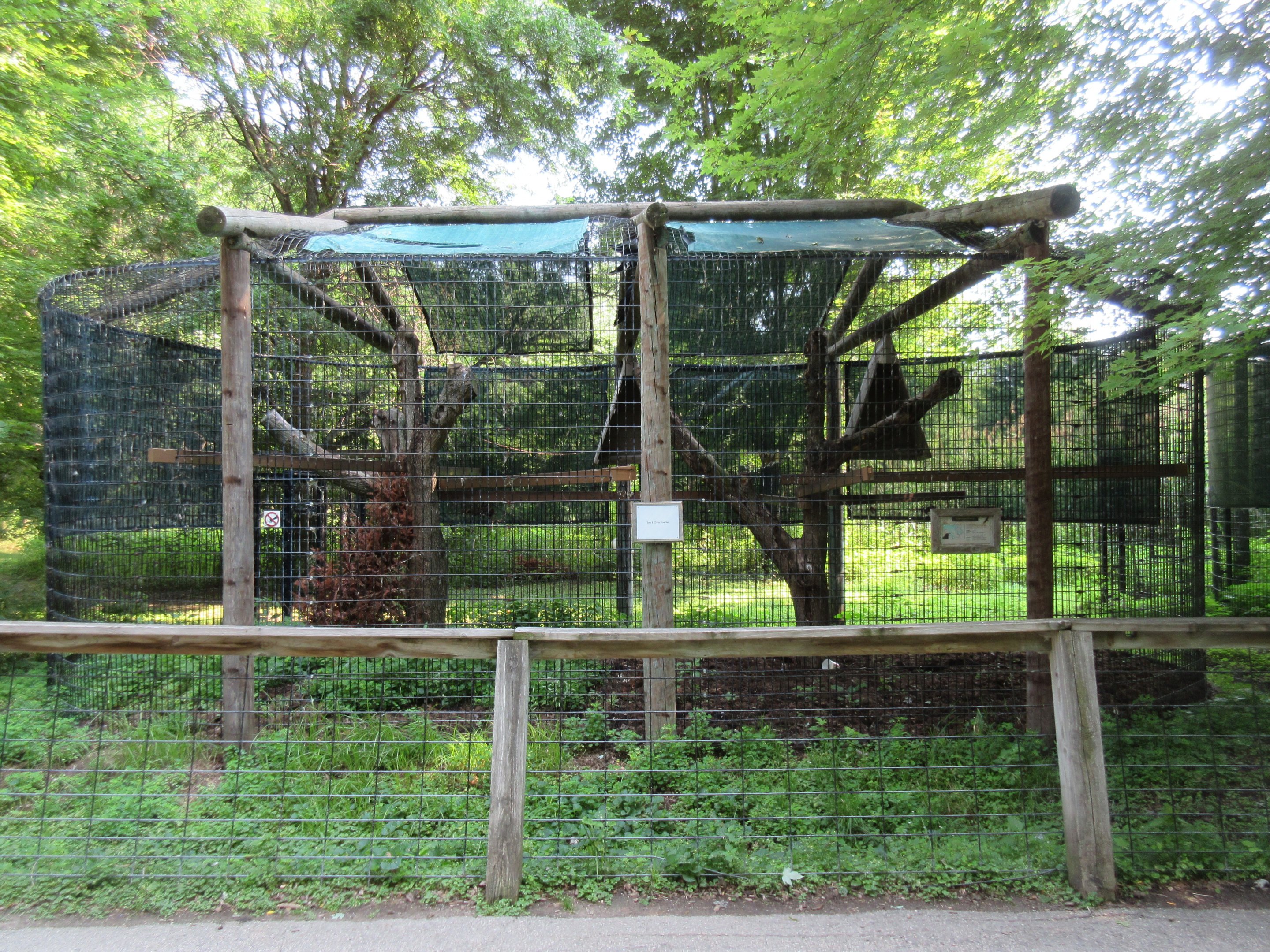 Common Raven Exhibit