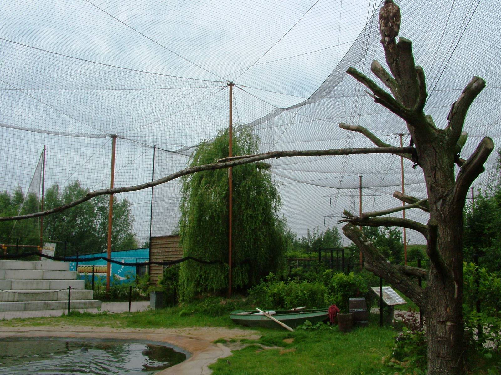 Common Seal and White-tailed Sea Eagle Exhibit at Dierenrijk, 31/05/12