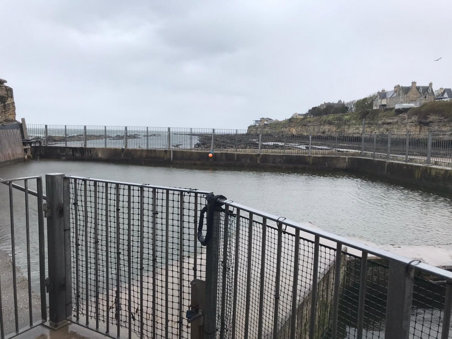 Common seal enclosure (2)