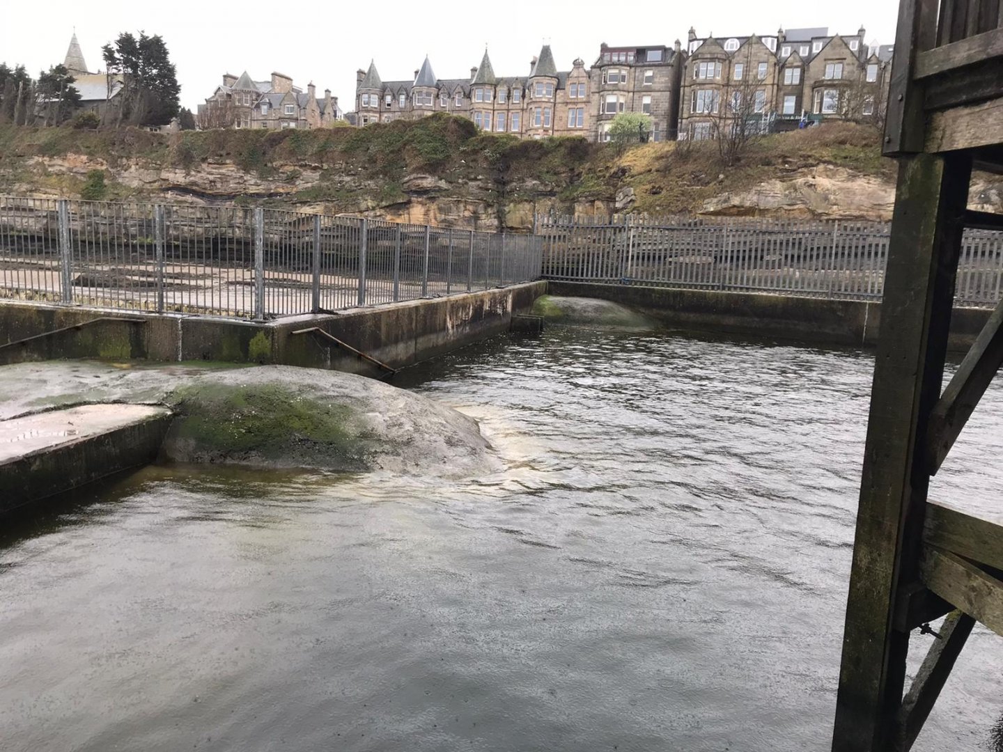 Common seal enclosure (3)