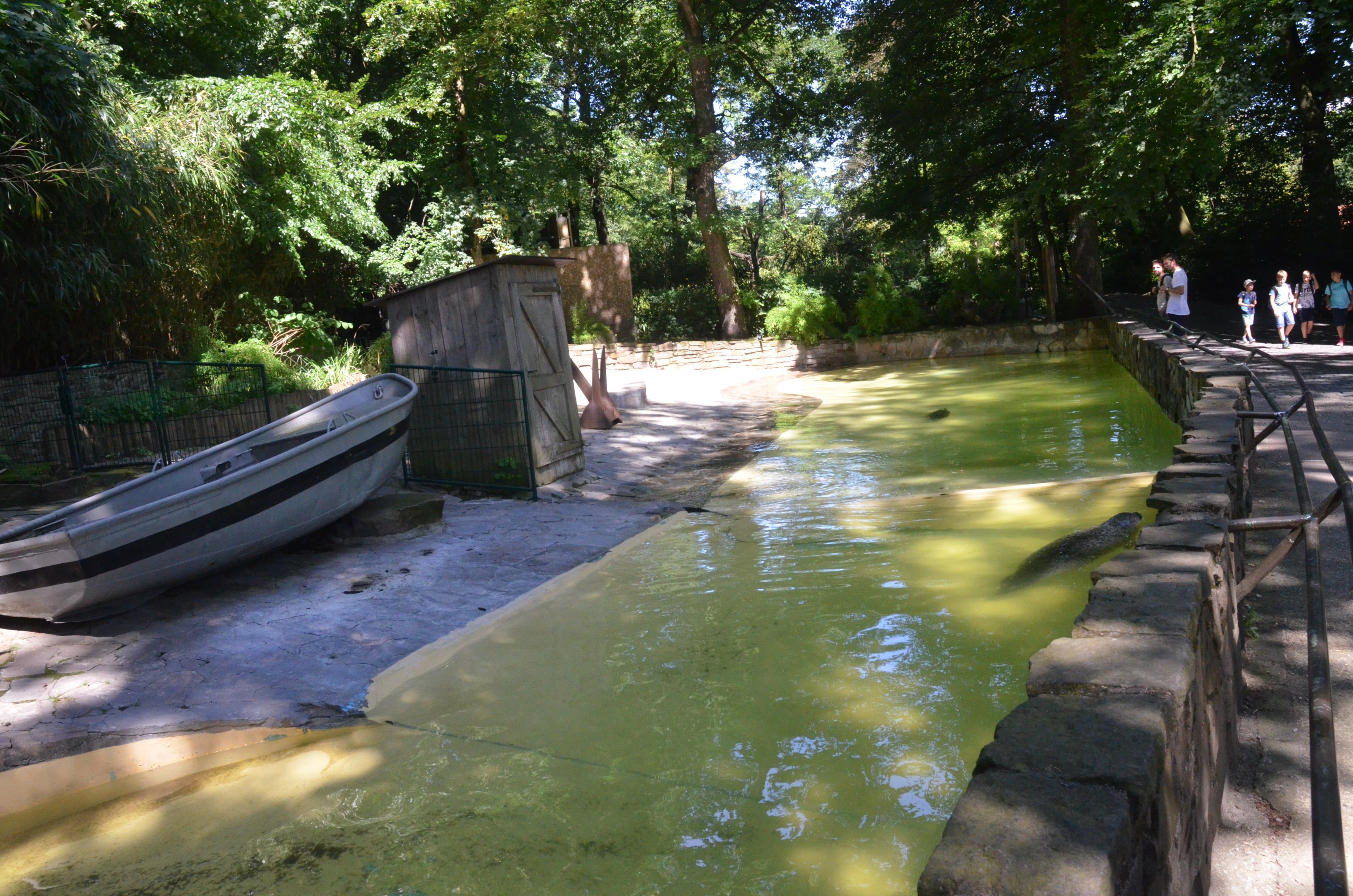 Common Seal Enclosure at Duisburg, 17/06/19