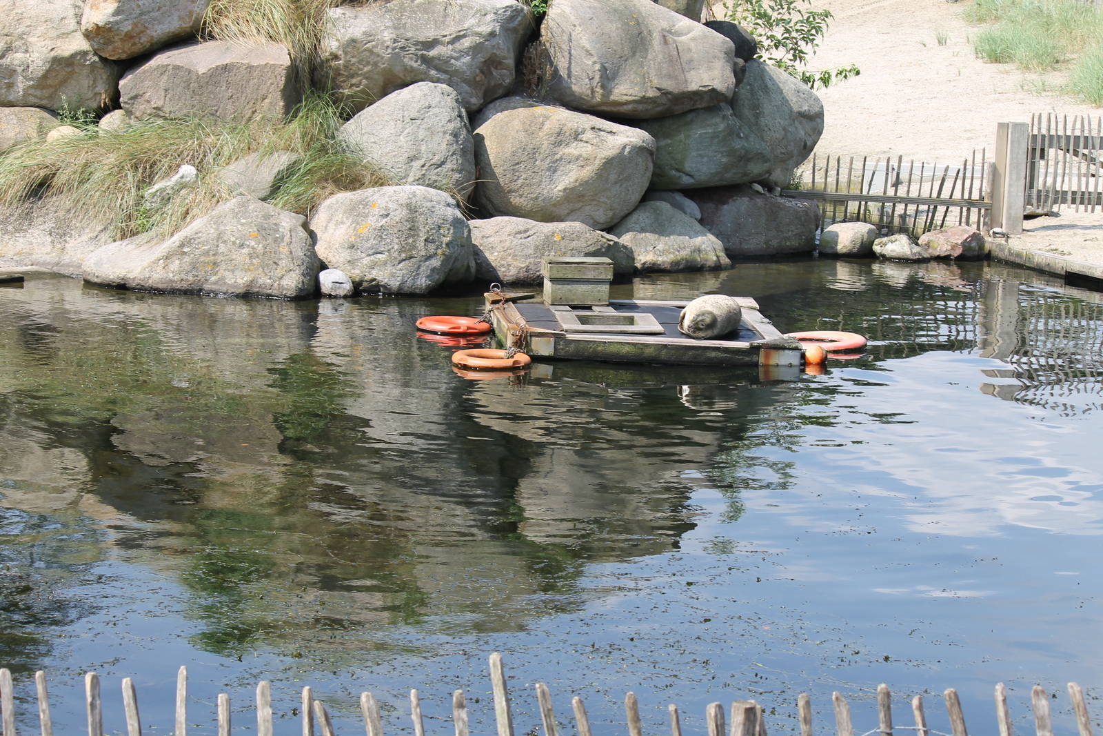Common seal enclosure