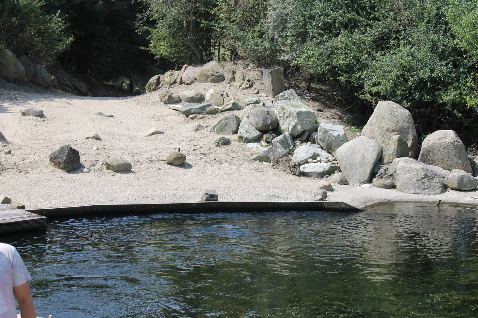 Common seal enclosure