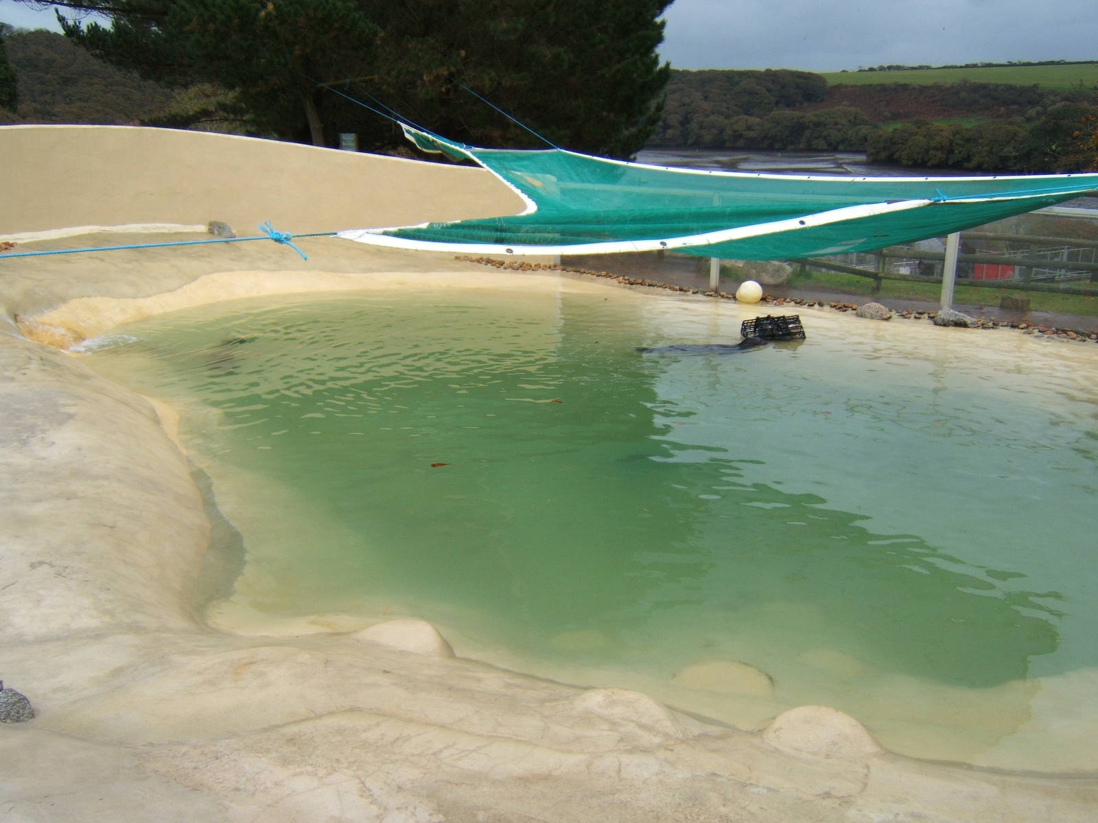 Common Seal Enclosure