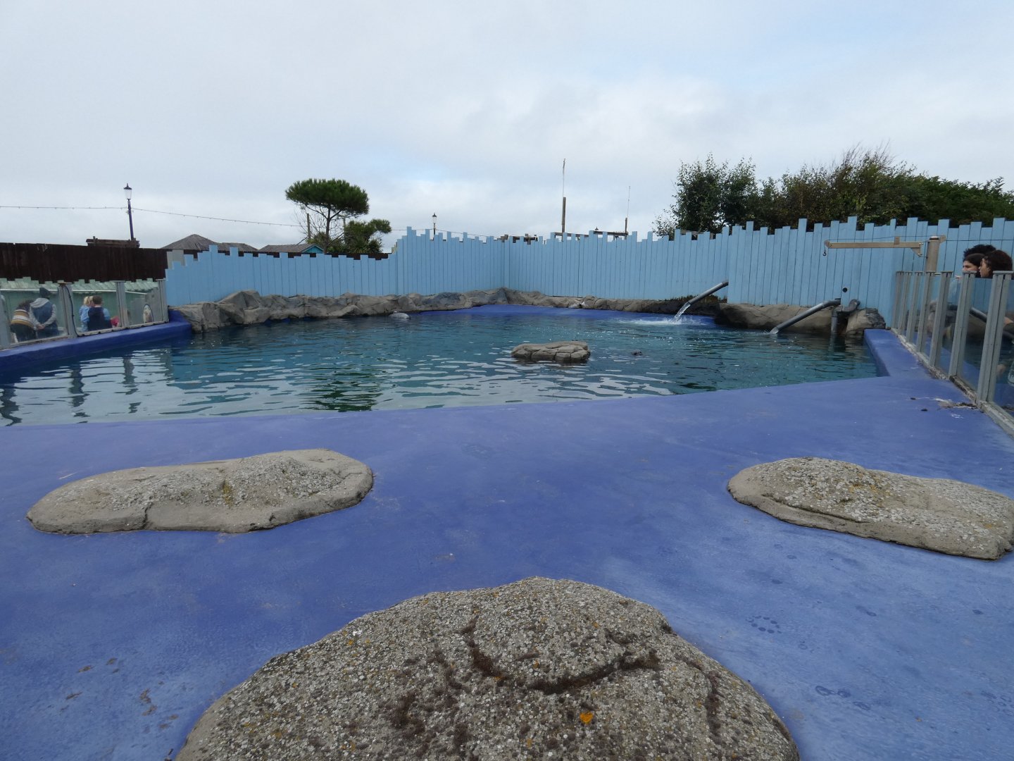Common seal enclosure