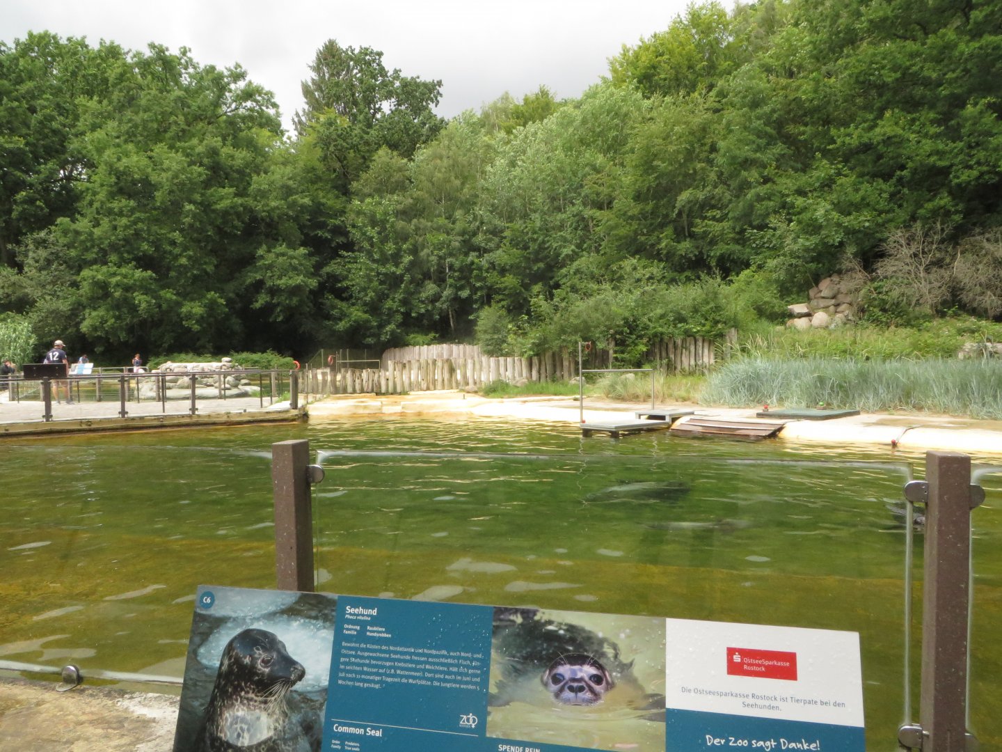 Common seal enclosure