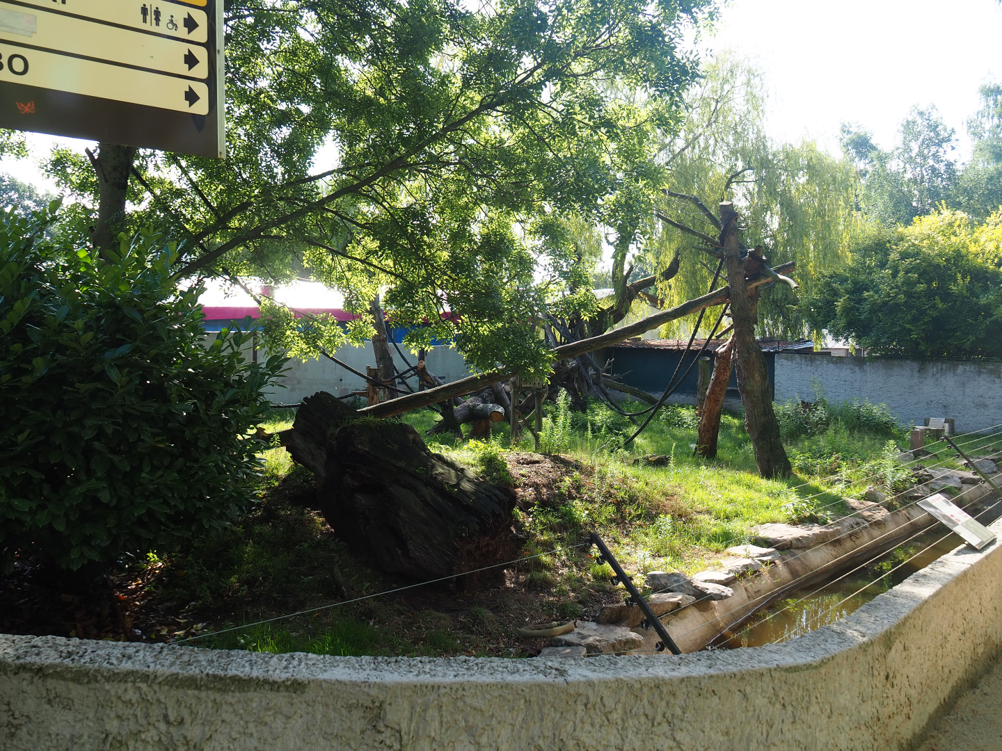 Common squirrel monkey and Asian small-clawed otter exhibit, 2019-06-01