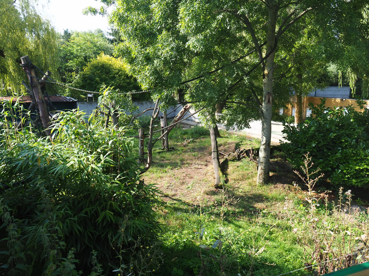 Common squirrel monkey and Asian small-clawed otter exhibit, 2019-06-01