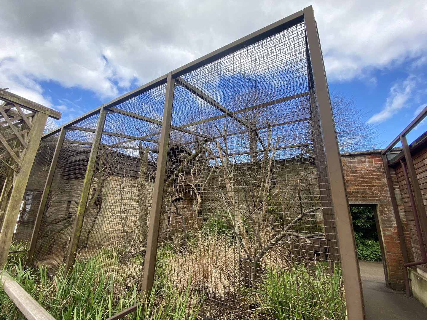 Common squirrel monkey and Azara’s agouti enclosure 280423