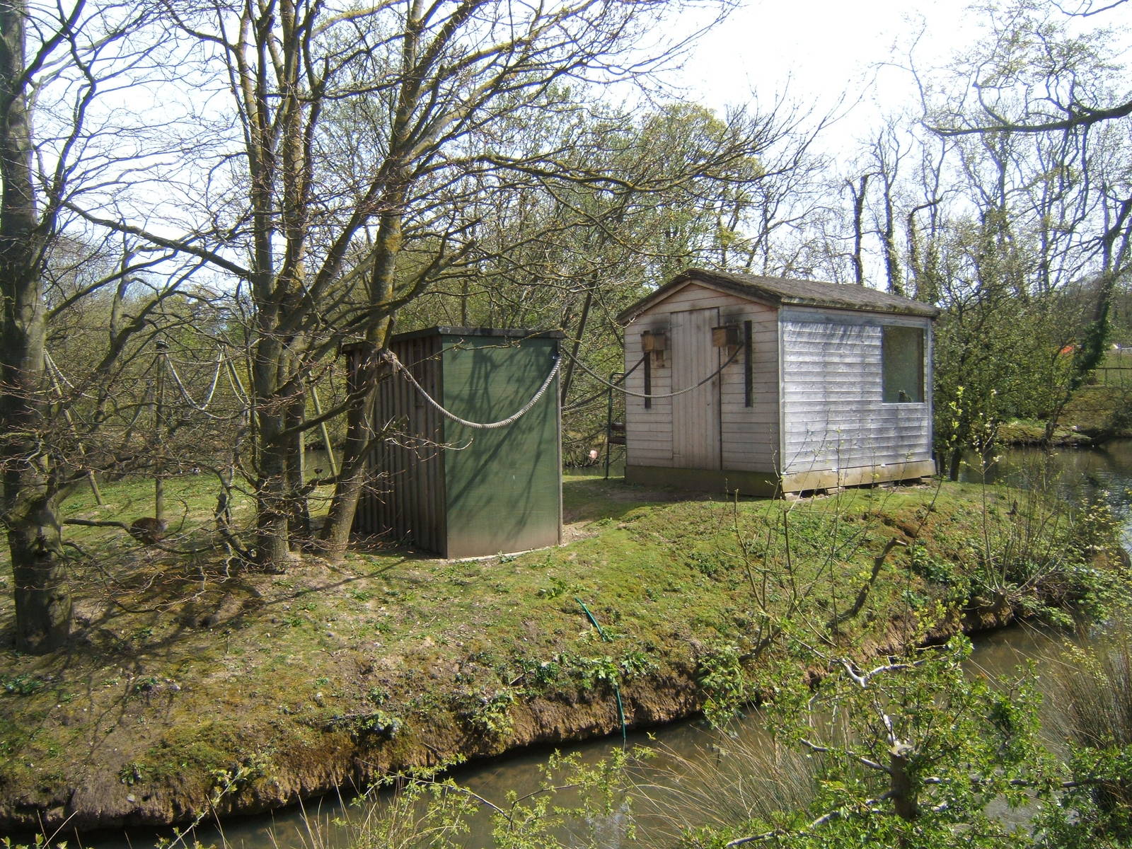 Common Squirrel monkey and Common Marmoset housing on Island