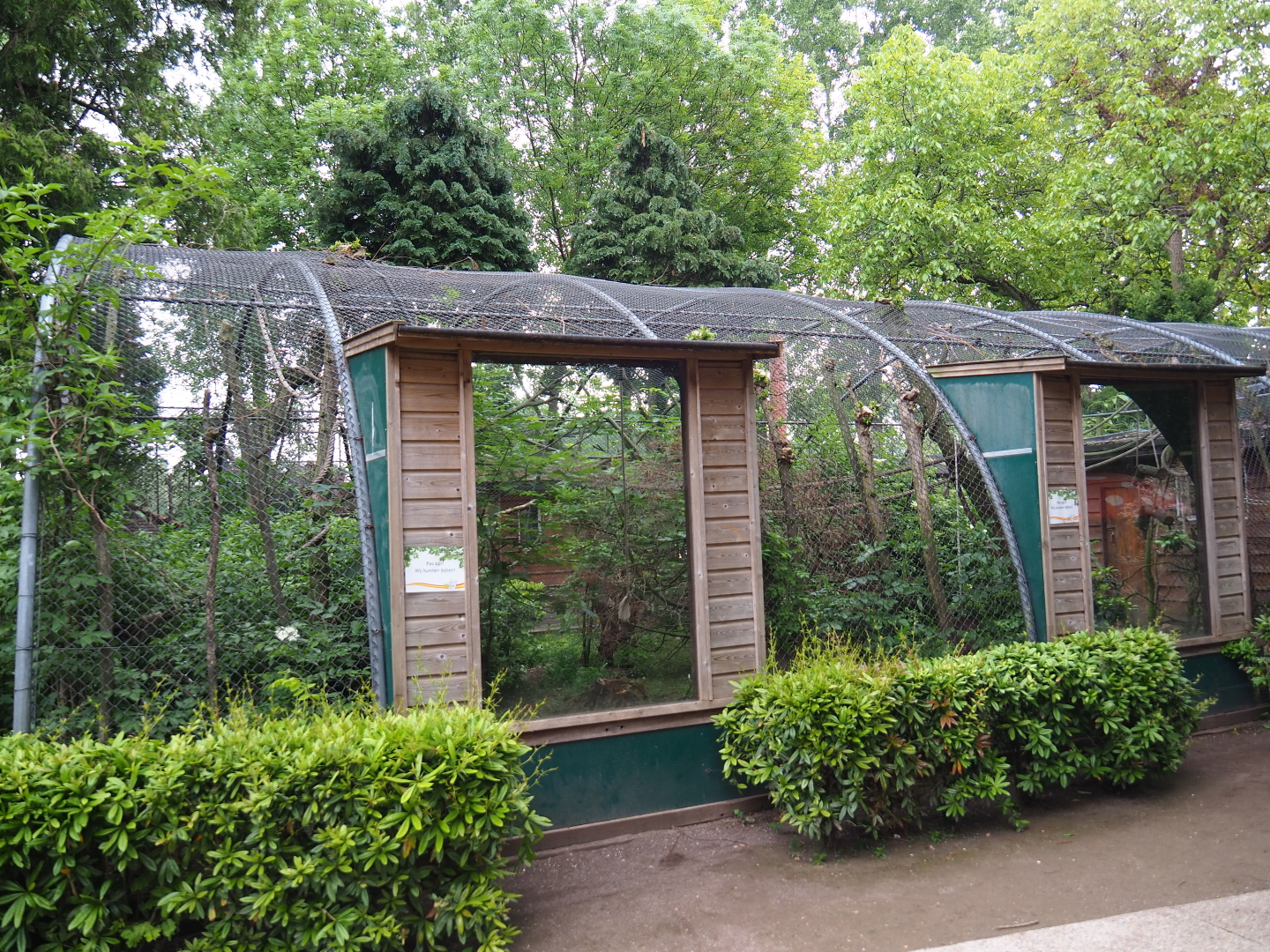 Common squirrel monkey and Victoria crowned pigeon exhibit, 2019-05-25