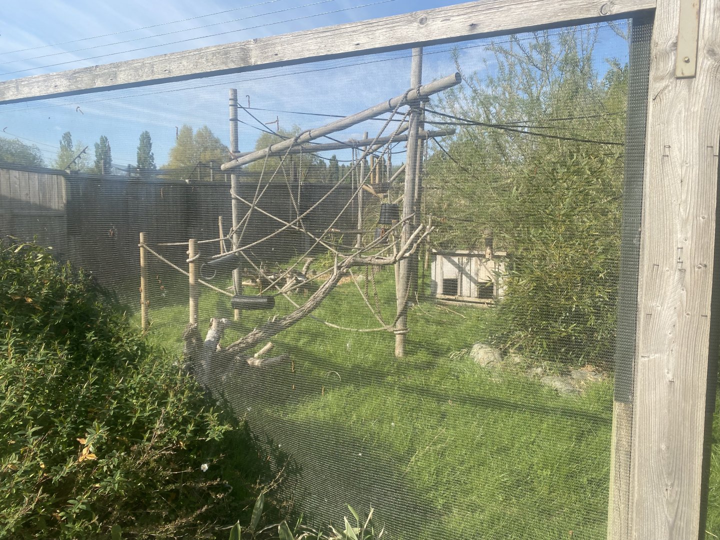 Common squirrel monkey/Azara’s agouti enclosure 280425