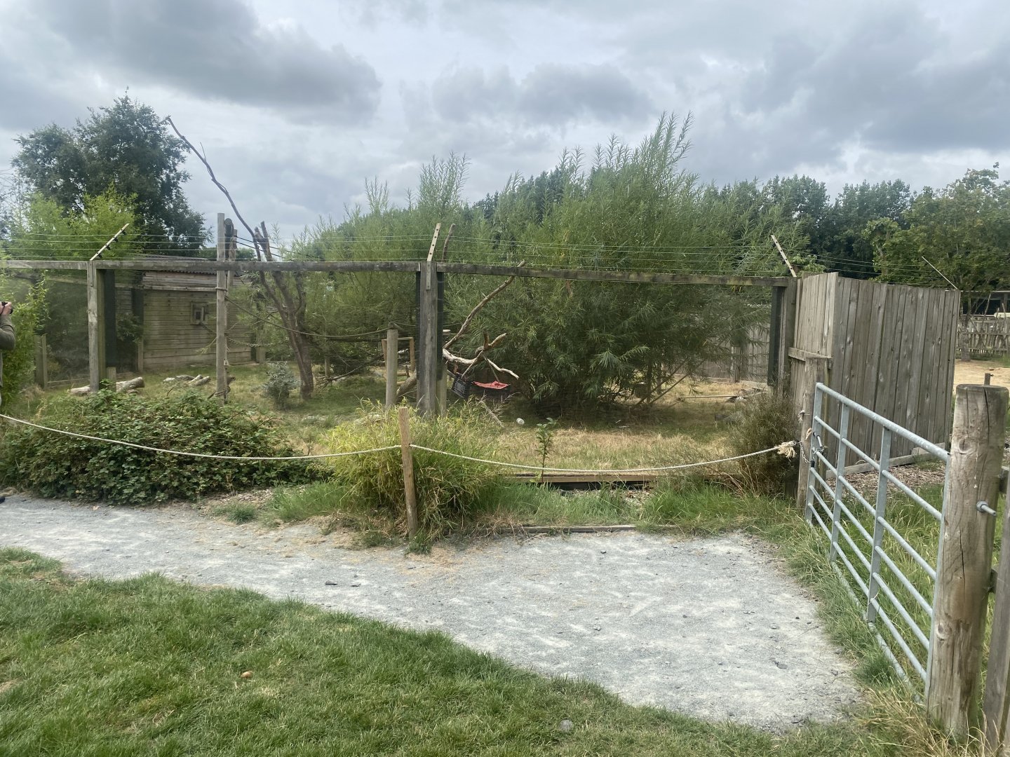 Common squirrel monkey/Azara’s agouti exhibit 040824