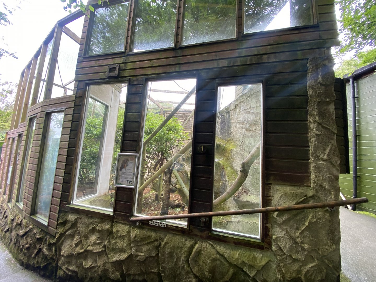 Common squirrel monkey enclosure 050625