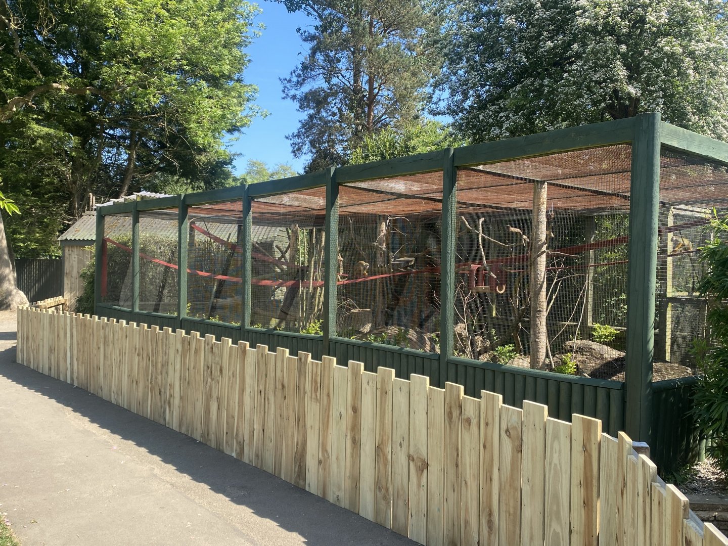 Common squirrel monkey enclosure 090525