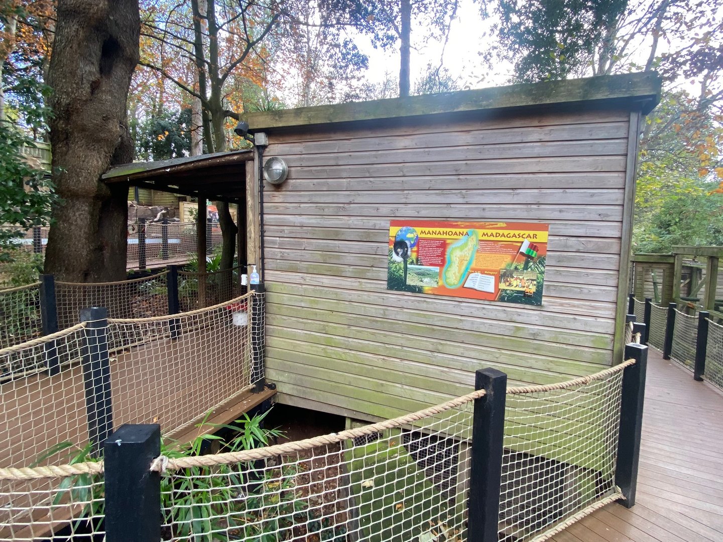 Common squirrel monkey enclosure 111222