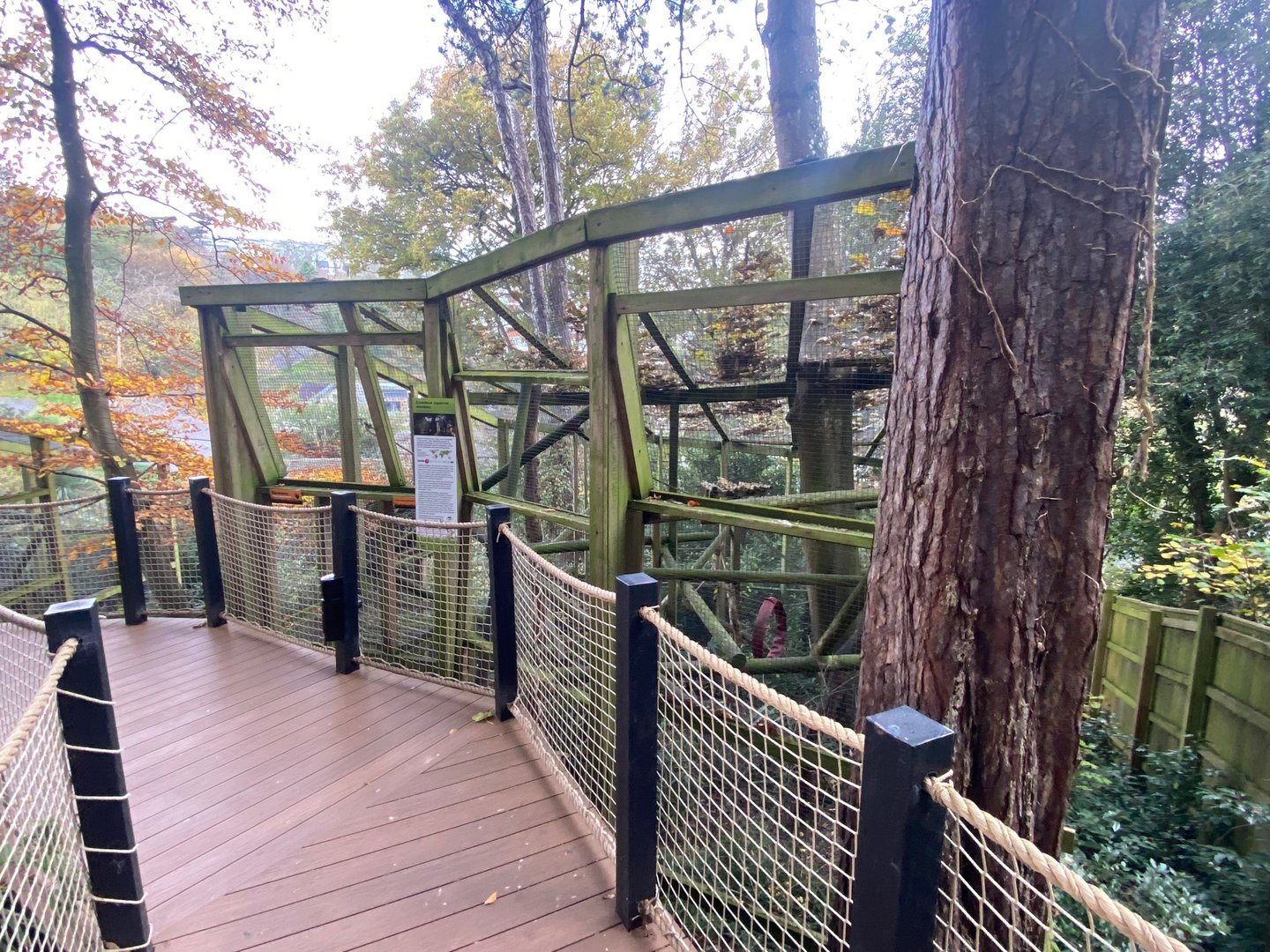 Common squirrel monkey enclosure 111222