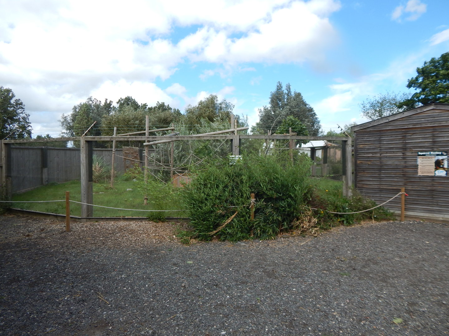 Common squirrel monkey enclosure 150723