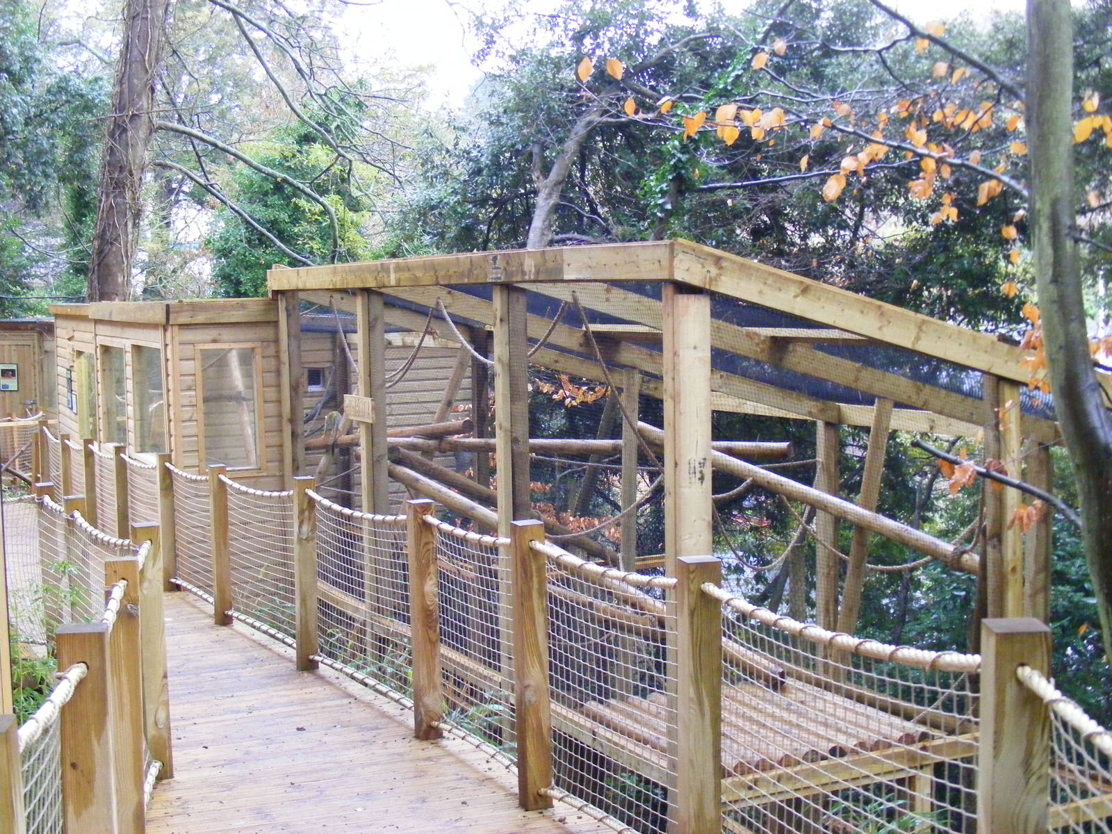 Common squirrel monkey enclosure at Shaldon Zoo, 28 December 2010