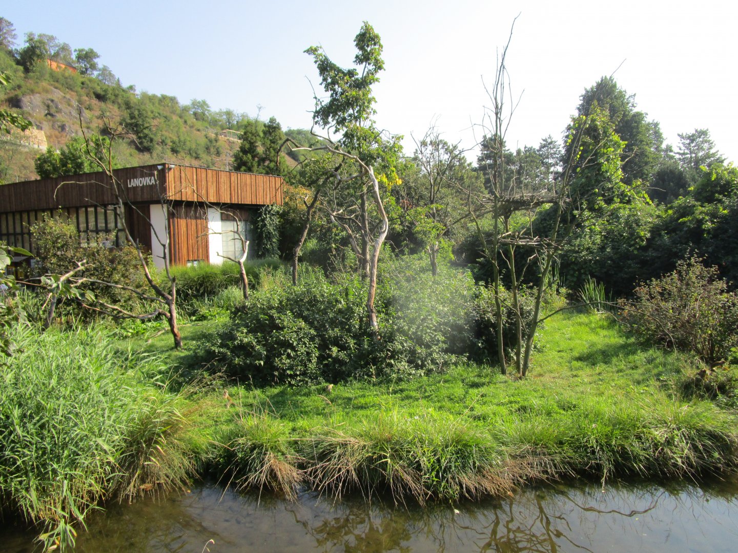 Common squirrel monkey enclosure