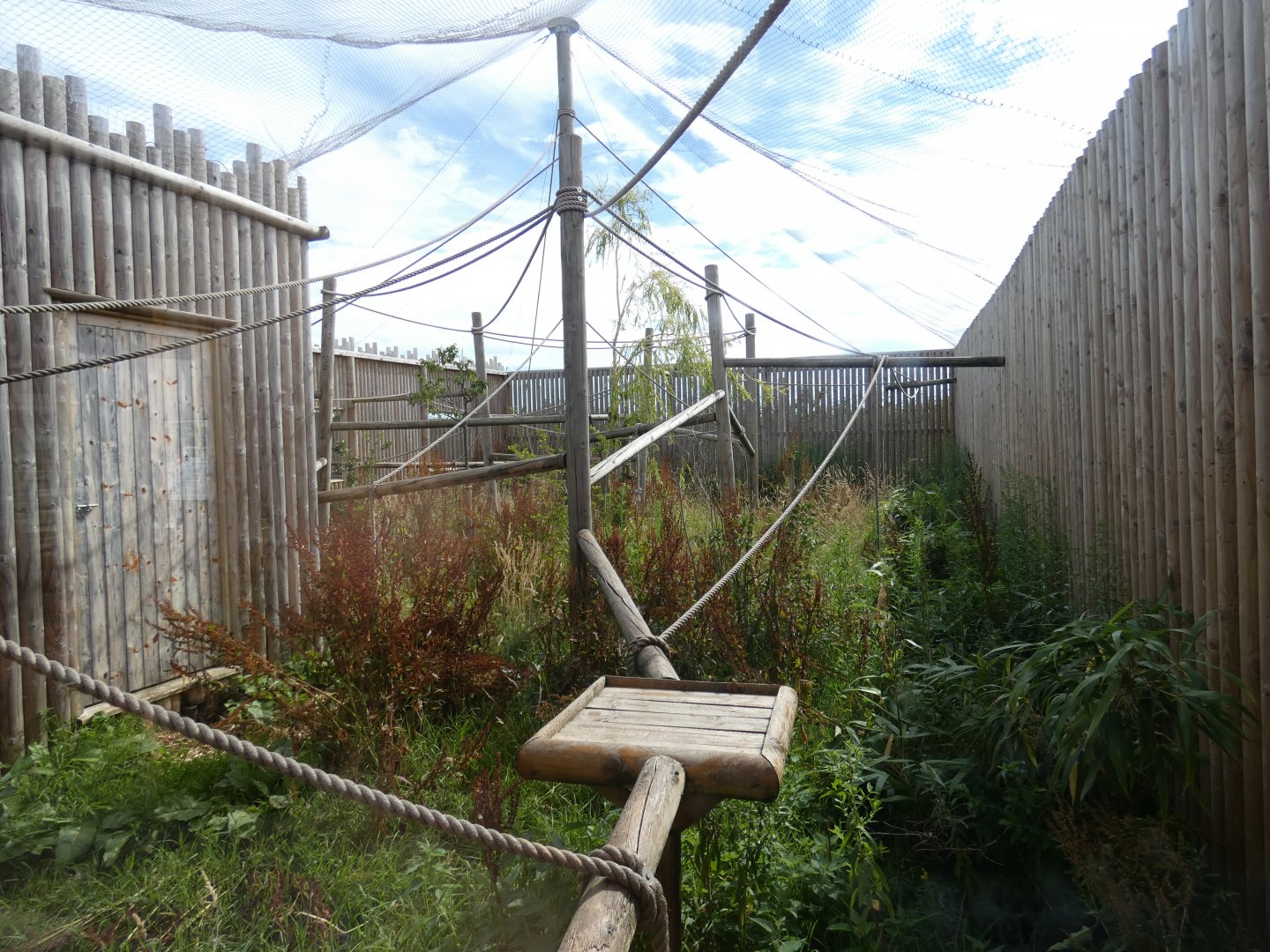 Common Squirrel Monkey enclosure