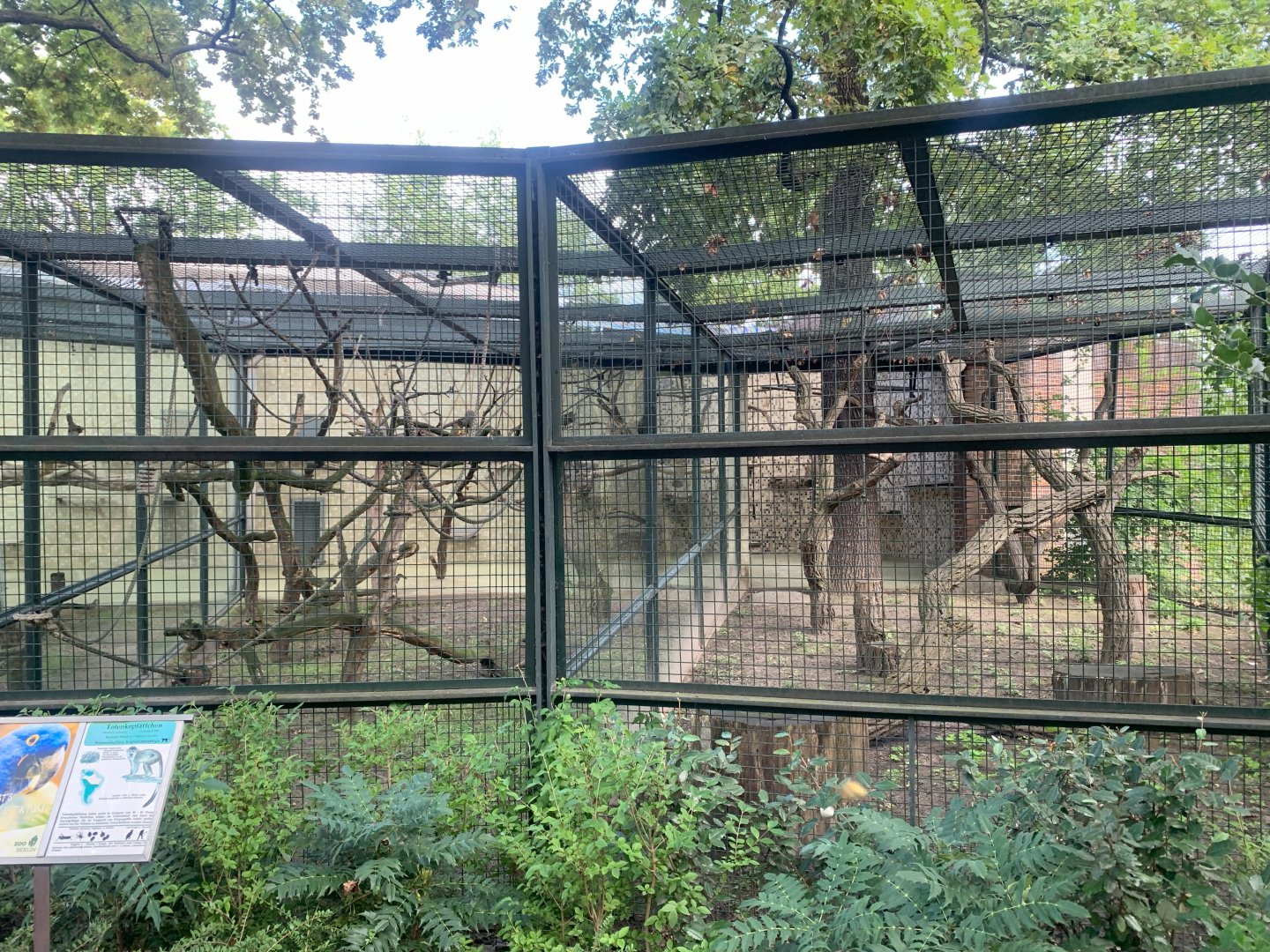 Common Squirrel Monkey enclosures