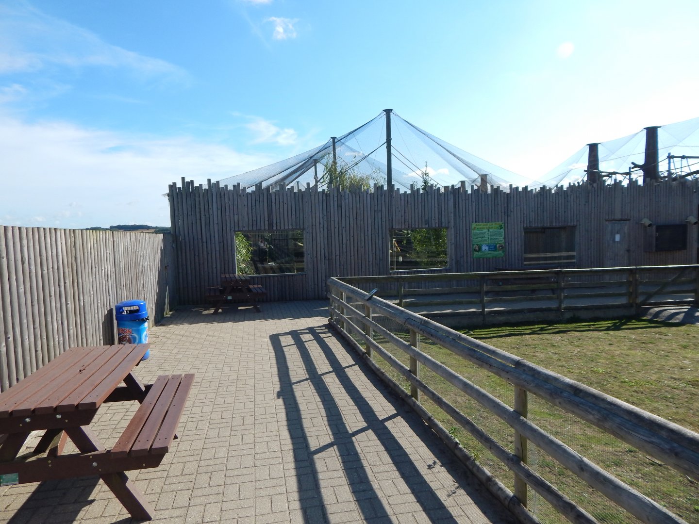 Common squirrel monkey exhibit 030964