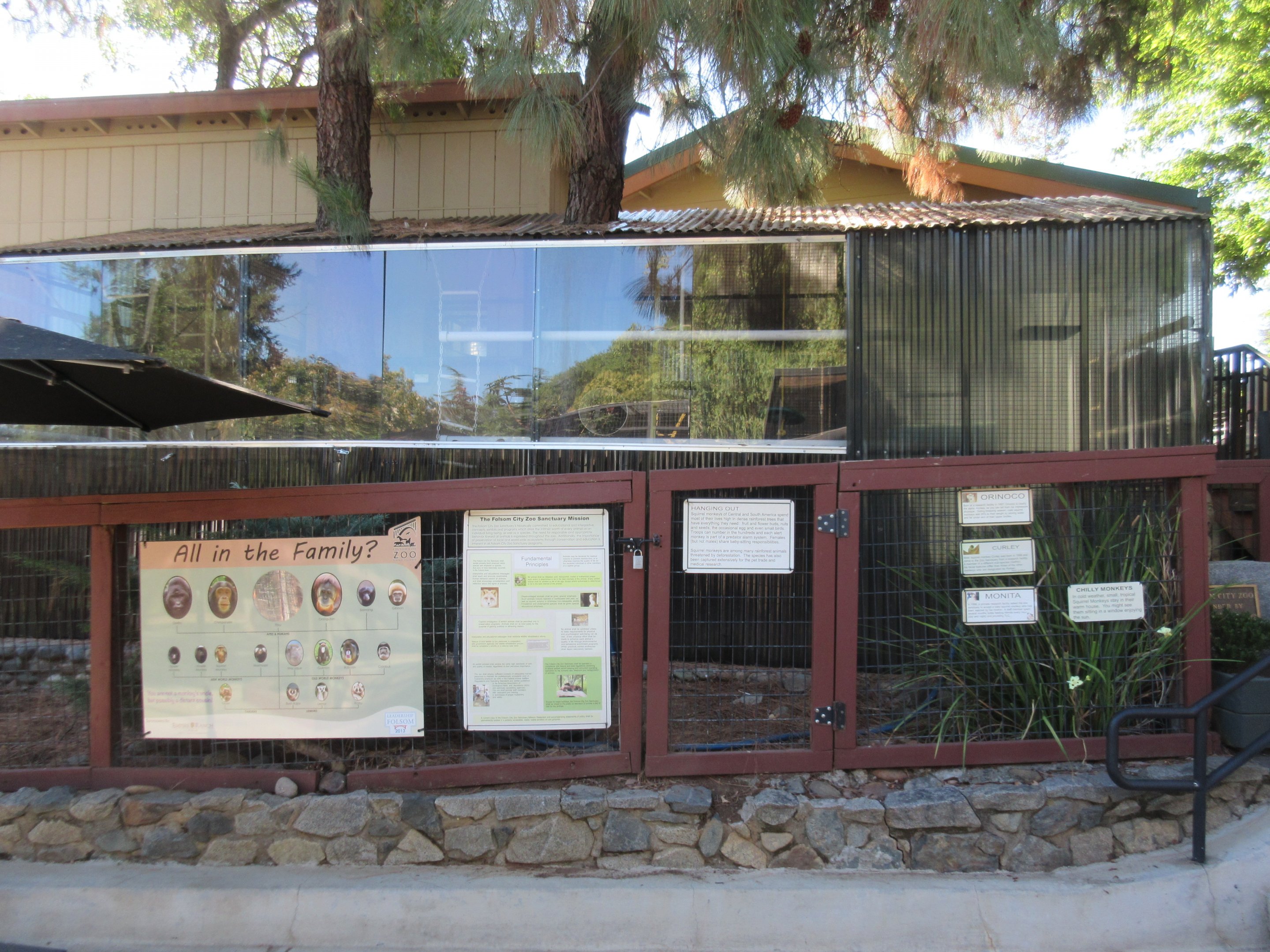 Common Squirrel Monkey Exhibit