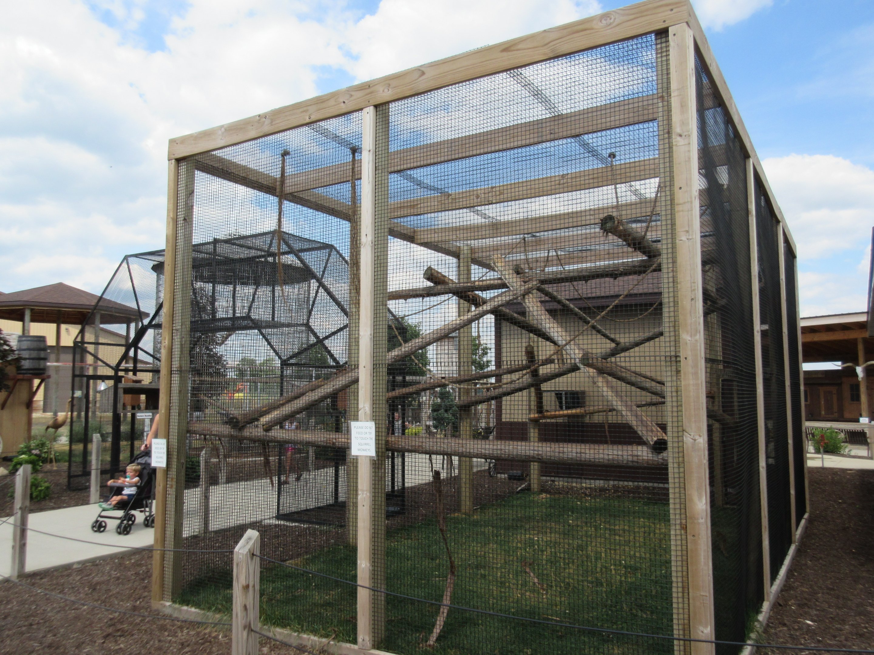 Common Squirrel Monkey Exhibit