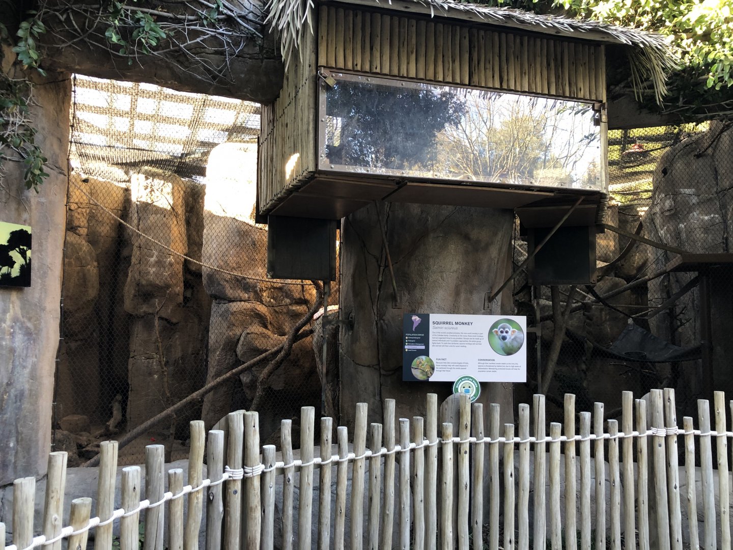 Common squirrel monkey exhibit