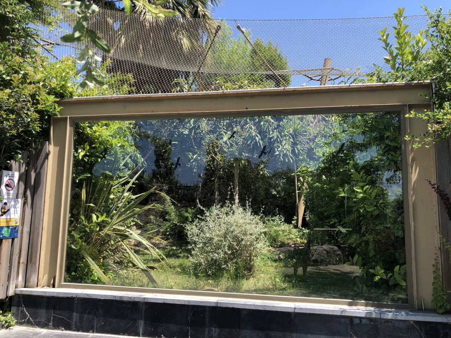 Common squirrel monkey exhibit