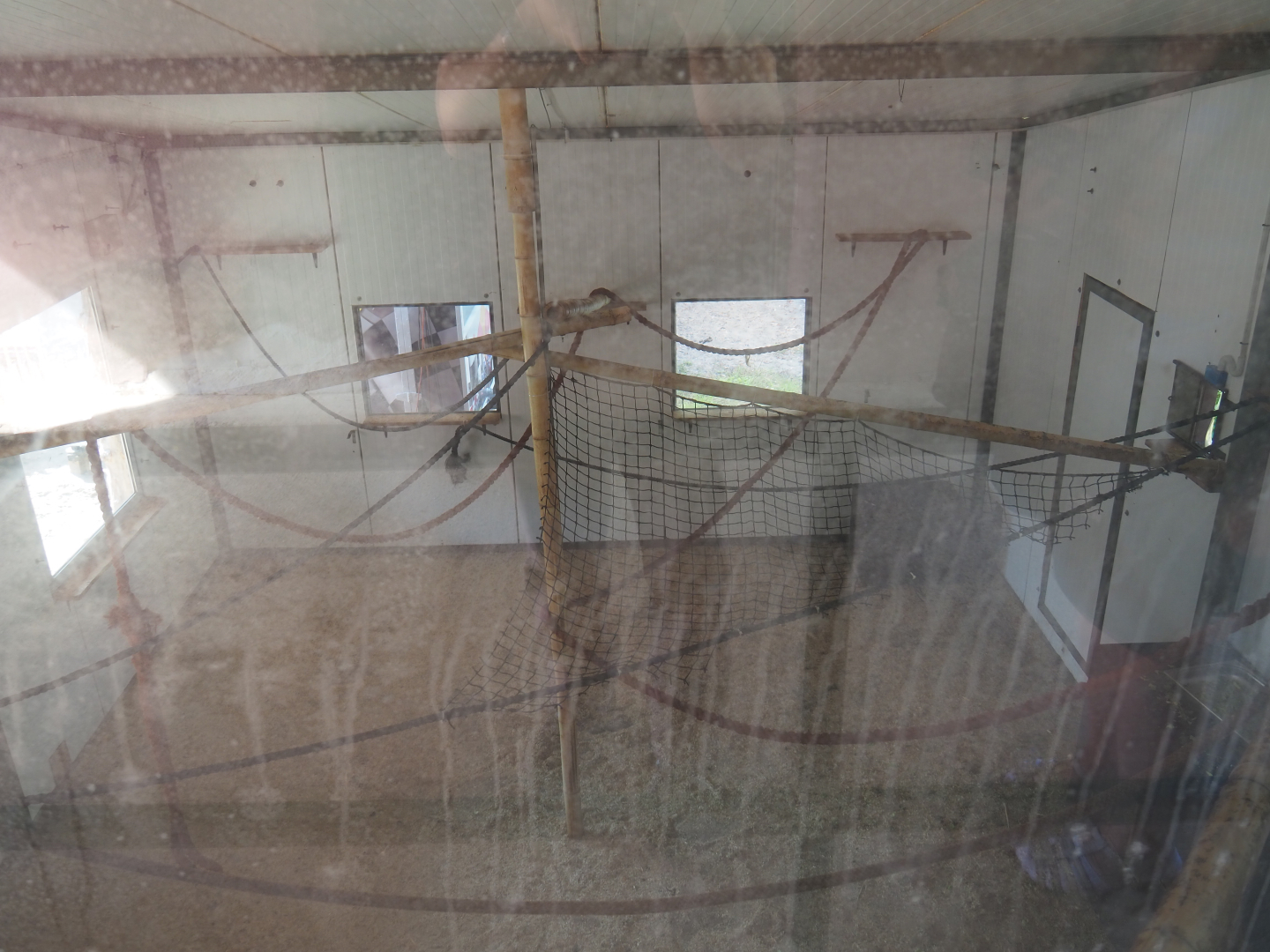 Common squirrel monkey indoor housing - With very dirty windows, 2019-06-01