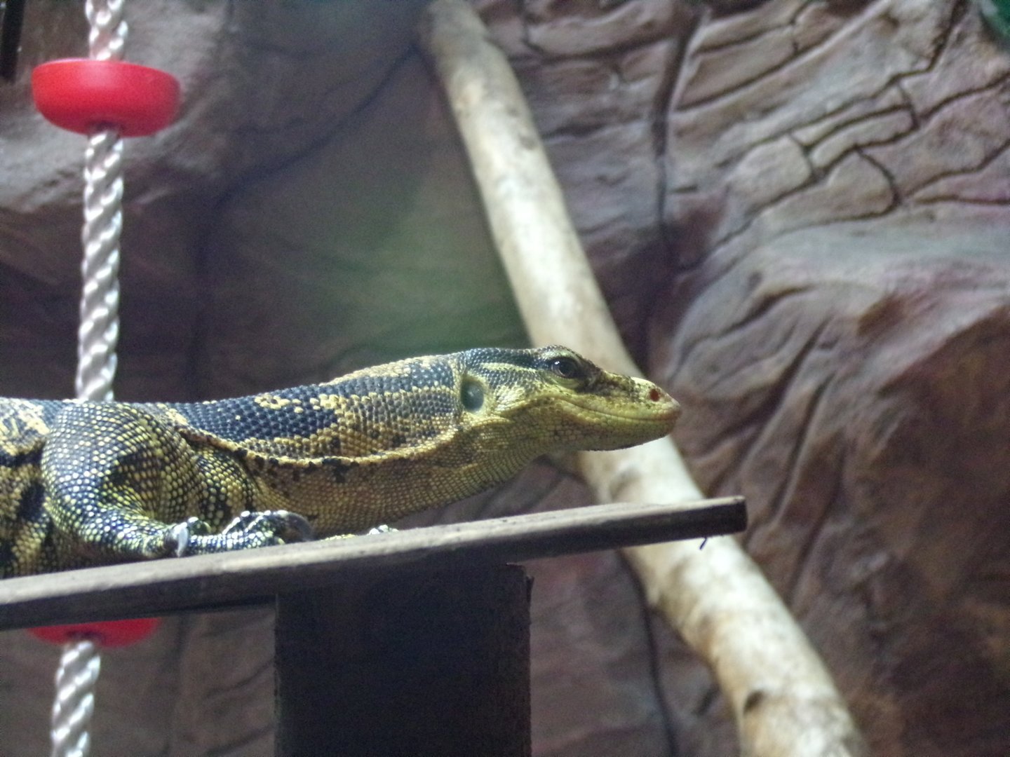 Common water monitor 1.1.23