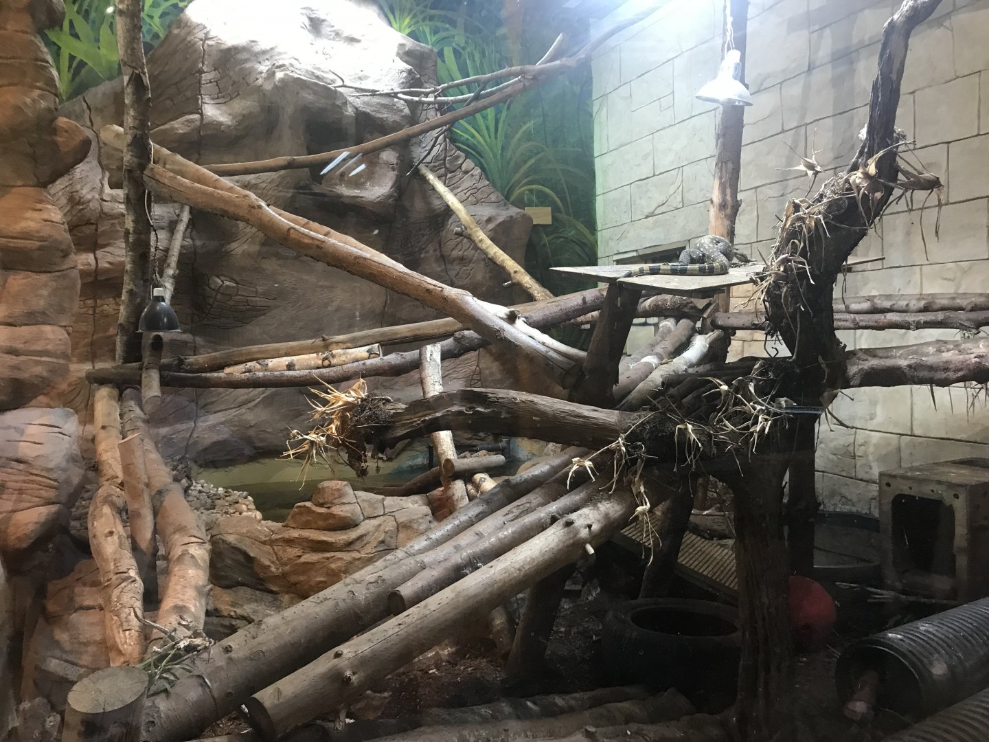 Common water monitor enclosure