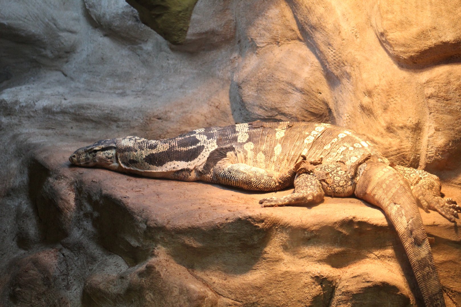 Common Water Monitor