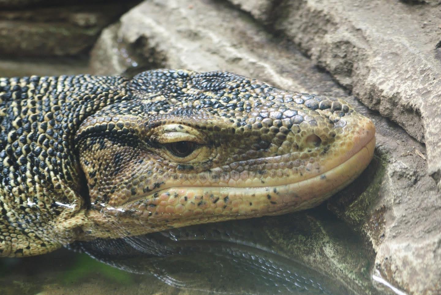 Common water monitor
