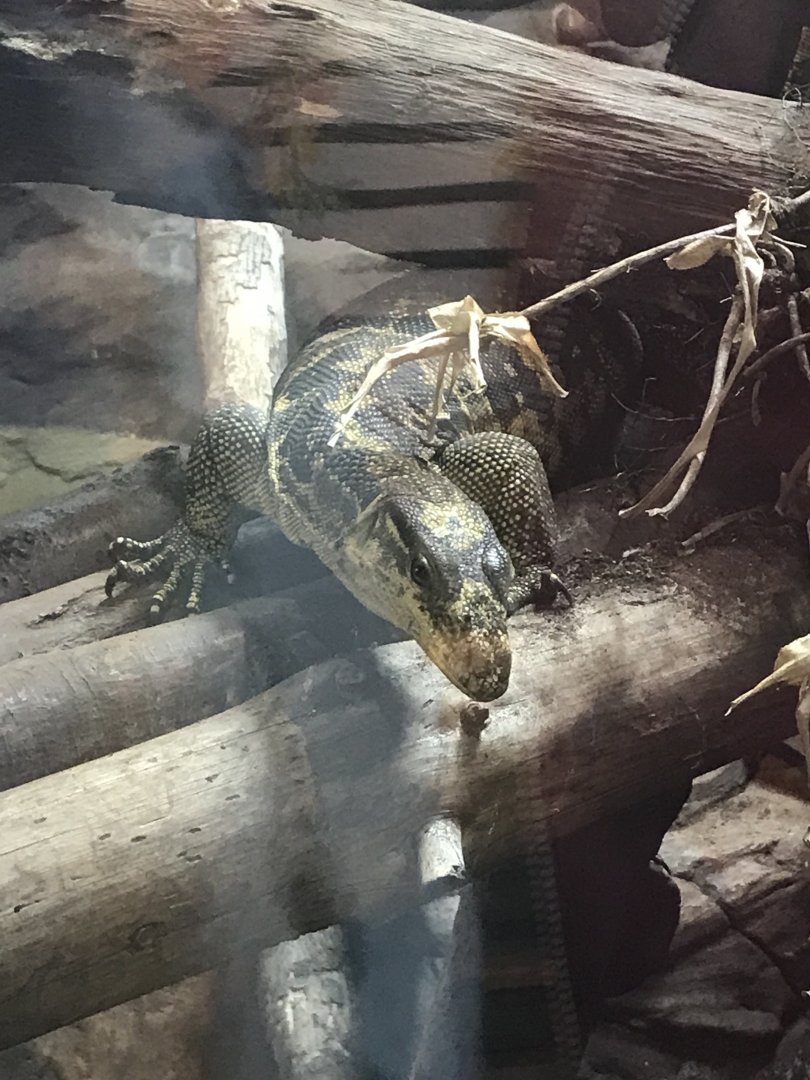 Common water monitor