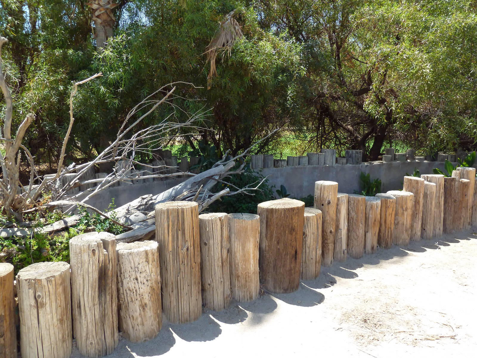 Common Water Snake Exhibit