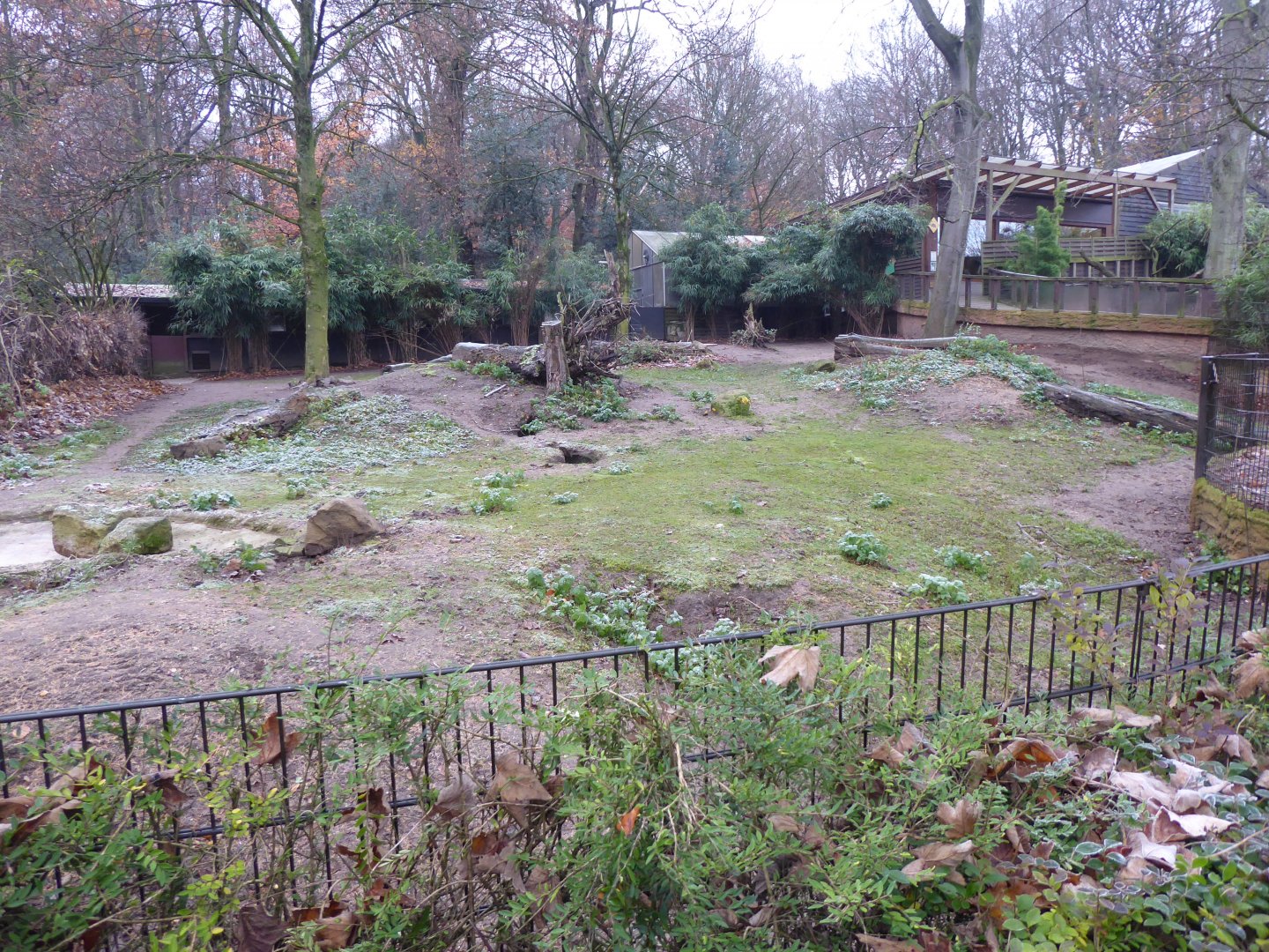 Common wombat and Red-necked wallaby enclosure 011219