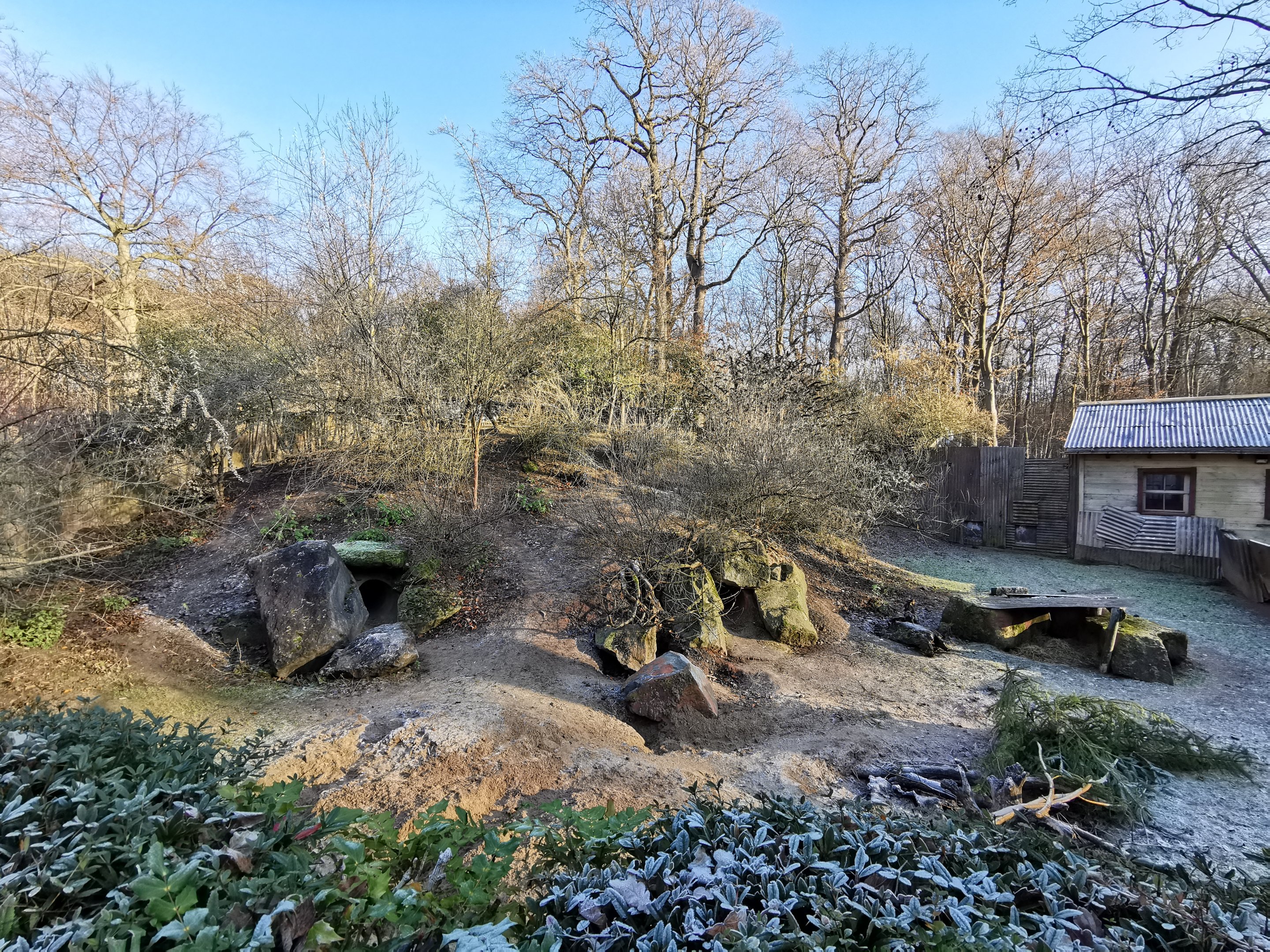 Common wombat enclosure - "Australian Outback"