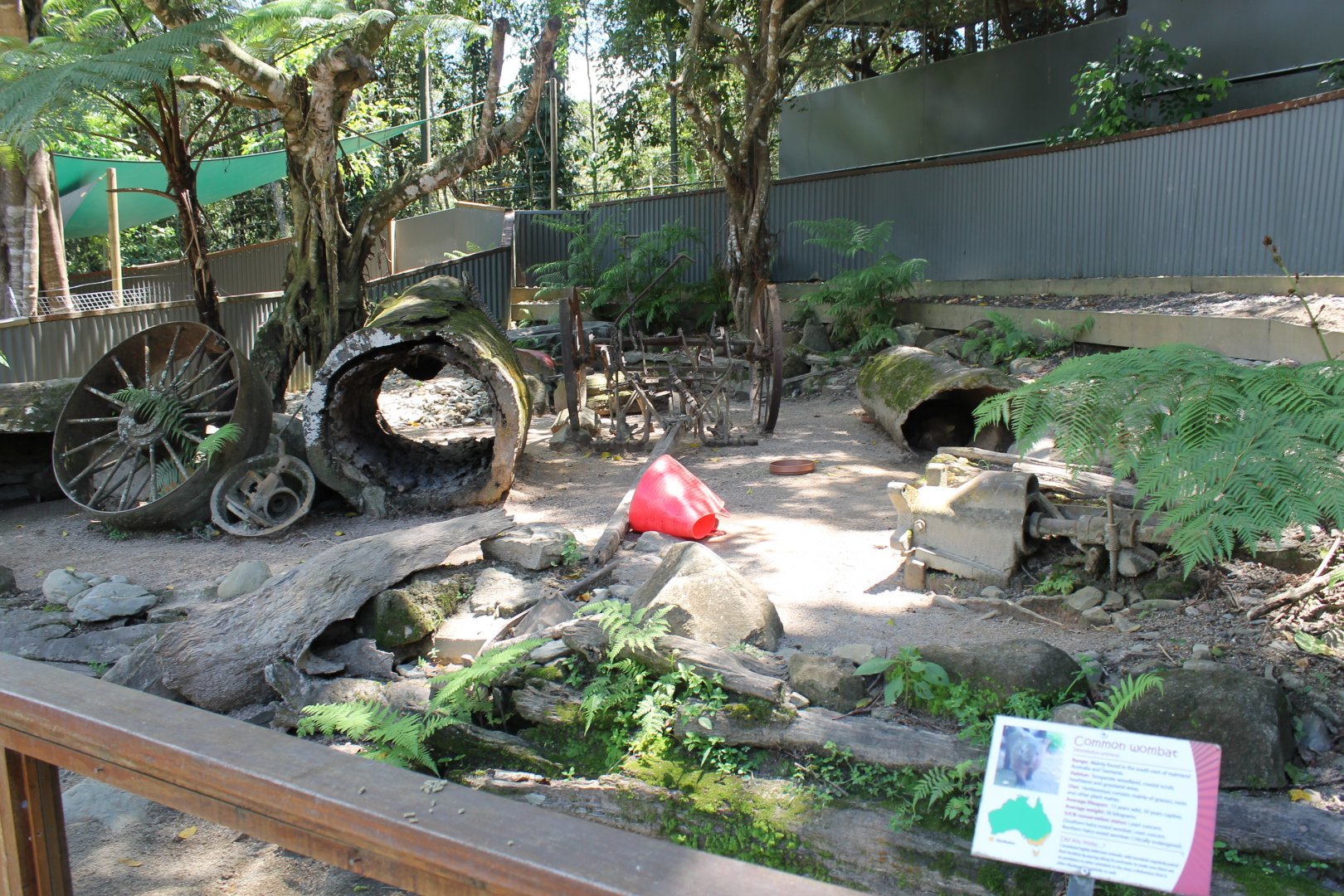 Common Wombat enclosure