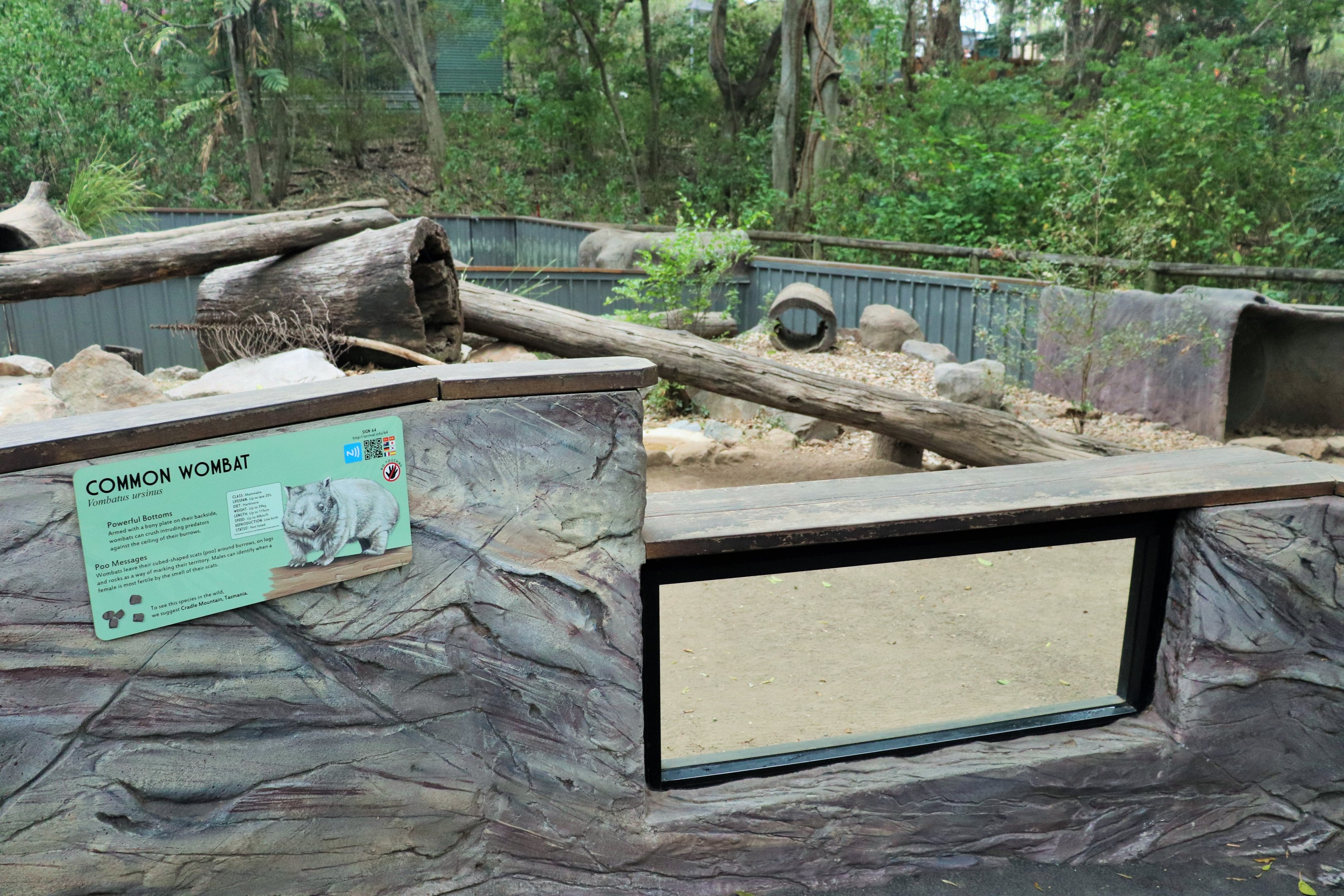 Common Wombat Enclosure