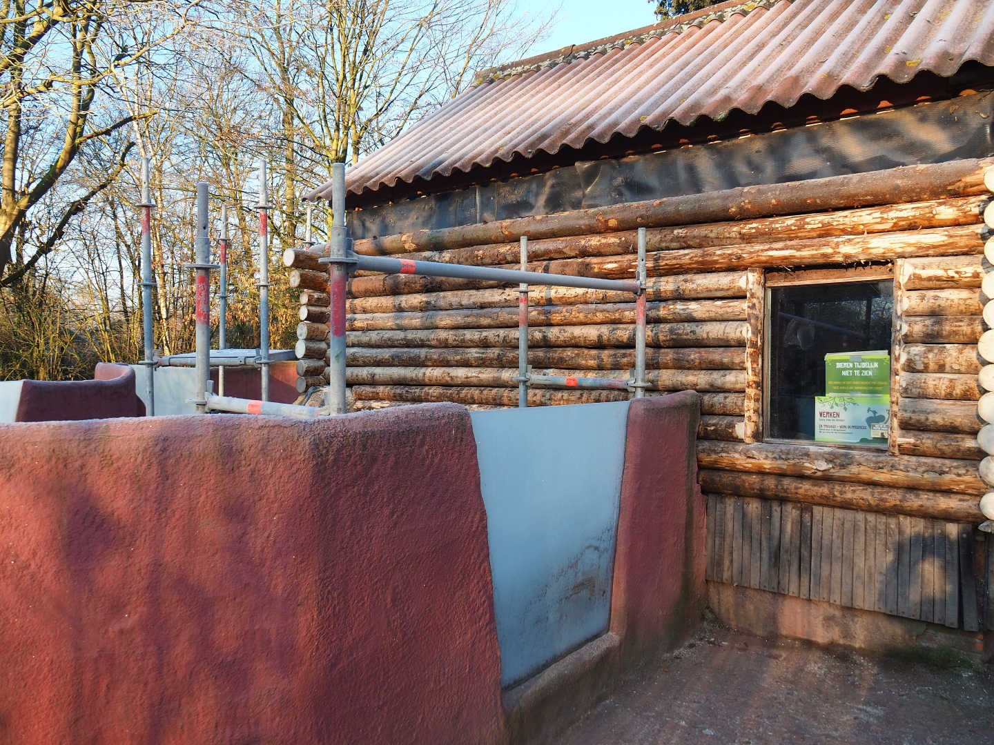 Common wombat exhibit renovations (Jan 20th, 2019)