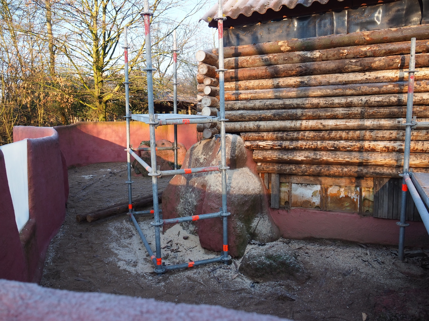 Common wombat exhibit renovations (Jan 20th, 2019)